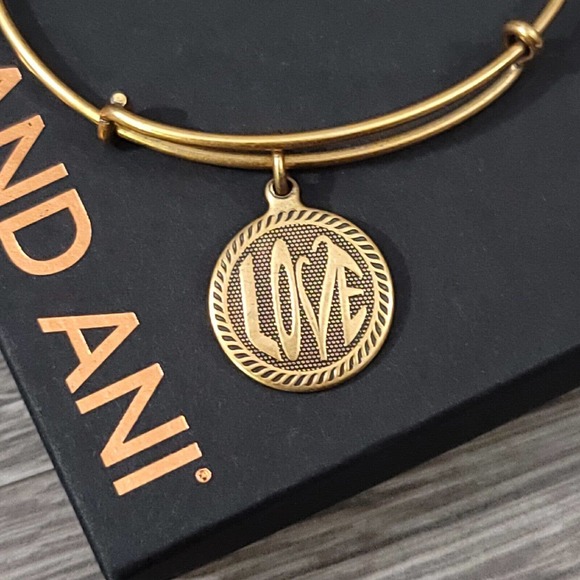 Alex and Ani Open Love Charm Bracelet - Picture 3 of 10